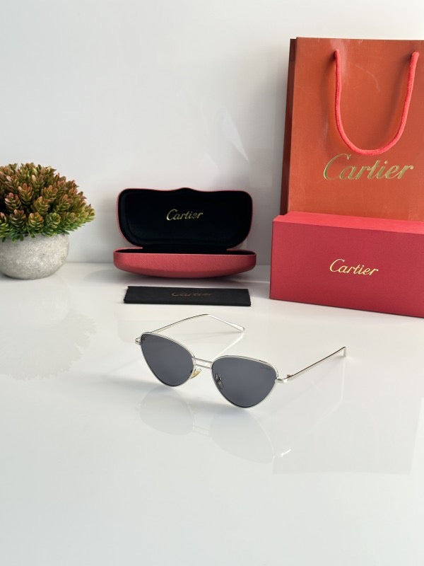 Cartier 8045 Silver Black